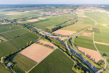 Aerial photograpy of A65 exit Landau-Nord in the district Dammheim in Landau in der Pfalz in the state Rhineland-Palatinate, Germany
