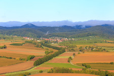 Aerial view of Hedges at Otterbach in Oberotterbach in the state Rhineland-Palatinate, Germany