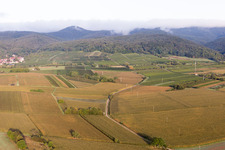 District Rechtenbach in Schweigen-Rechtenbach in the state Rhineland-Palatinate, Germany viewn from the air