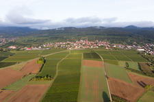 District Schweigen in Schweigen-Rechtenbach in the state Rhineland-Palatinate, Germany viewn from the air