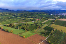 B38 in Dörrenbach in the state Rhineland-Palatinate, Germany