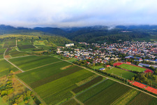 Vineyards south of the spa town in Bad Bergzabern in the state Rhineland-Palatinate, Germany