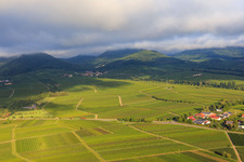 Aerial photograpy of Vineyards on the southern edge of the village in Ilbesheim bei Landau in the state Rhineland-Palatinate, Germany