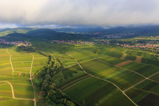 Aerial view of Ranschbachtal from the east in the district Arzheim in Landau in der Pfalz in the state Rhineland-Palatinate, Germany