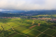 Vineyards between Birkweiler and Siebeldingen in the district Arzheim in Landau in der Pfalz in the state Rhineland-Palatinate, Germany