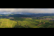 Panorama of the vineyards between Ranschbach and Siebeldingen in the district Arzheim in Landau in der Pfalz in the state Rhineland-Palatinate, Germany
