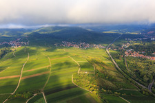 Vineyards between Birkweiler and Siebeldingen from the east in Birkweiler in the state Rhineland-Palatinate, Germany