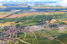 View from the north in Insheim in the state Rhineland-Palatinate, Germany