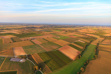 Foundation of the EnBW wind farm Freckenfeld - for wind turbine with 6 wind turbines in Freckenfeld in the state Rhineland-Palatinate, Germany from above