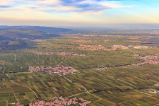 Wine towns in the Rhine plain of the Palatinate from Flemlingen to Neustadt in Hainfeld in the state Rhineland-Palatinate, Germany