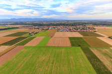 Aerial photograpy of View of the town from the south in Steinweiler in the state Rhineland-Palatinate, Germany