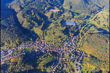 Village overview with Lugina Schuhfabrik GmbH in Schwanheim in the state Rhineland-Palatinate, Germany