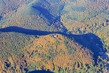 Aerial view of Ramburg Castle ruins on the Ramberg in Ramberg in the state Rhineland-Palatinate, Germany