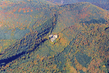 Neuscharfeneck Castle Ruins in Flemlingen in the state Rhineland-Palatinate, Germany seen from above