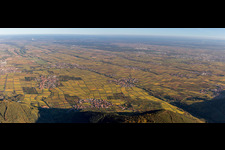 Fields of wine cultivation landscape Palatinate wine street in Weyher in der Pfalz in the state Rhineland-Palatinate, Germany