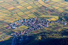 Aerial view of Fields of wine cultivation landscape Palatinate wine street in Weyher in der Pfalz in the state Rhineland-Palatinate, Germany
