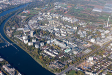 Aerial view of Neueneimer Feld, University in the district Neuenheim in Heidelberg in the state Baden-Wuerttemberg, Germany