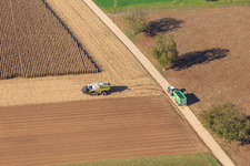 Corn harvest in the field in Freckenfeld in the state Rhineland-Palatinate, Germany