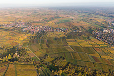 Village - view on the edge of wine yards in Schweigen in the state Rhineland-Palatinate, Germany
