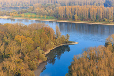 Aerial view of Mouth of the Old Rhine in Leimersheim in the state Rhineland-Palatinate, Germany