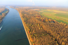 Groynes at normal Rhine water level in Germersheim in the state Rhineland-Palatinate, Germany