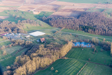 Am Froeschenberg, Haras Lerchenberg in Gundershoffen in the state Bas-Rhin, France seen from above