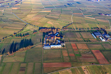 Geilweilerhof JKI Institute for Grape Breeding in Siebeldingen in the state Rhineland-Palatinate, Germany