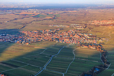 City view in winter from the southwest in Maikammer in the state Rhineland-Palatinate, Germany