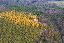 Oblique view of Chapel of the Protection of Mary on the Wetterkreuzberg in Maikammer in the state Rhineland-Palatinate, Germany