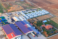 Vegetable cultivation - Dieter Stubenbordt in Zeiskam in the state Rhineland-Palatinate, Germany from above