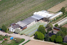 Zapf fruit and vegetable farm in Kandel in the state Rhineland-Palatinate, Germany