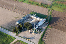 Poiana in the state Friuli Venezia Giulia, Italy