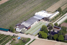 Aerial photograpy of Zapf fruit and vegetable farm in Kandel in the state Rhineland-Palatinate, Germany
