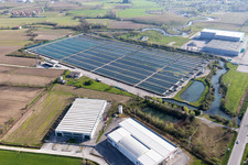 Orcenico Inferiore in the state Friuli Venezia Giulia, Italy