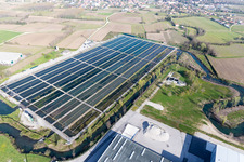 Aerial view of Orcenico Inferiore in the state Friuli Venezia Giulia, Italy
