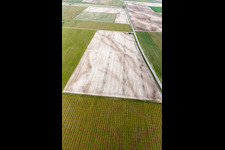 Aerial photograpy of Rauscedo-Domanins in the state Friuli Venezia Giulia, Italy