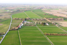 Palazzolo dello Stella in the state Friuli Venezia Giulia, Italy