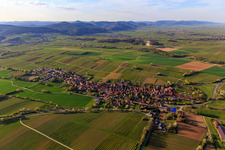 Village overview from the southeast in spring in Niederhorbach in the state Rhineland-Palatinate, Germany