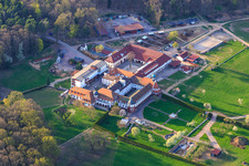 Aerial view of Horse boarding at Liebfrauenberg Monastery in spring in Bad Bergzabern in the state Rhineland-Palatinate, Germany
