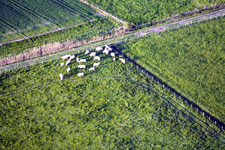 Surbourg in the state Bas-Rhin, France from above