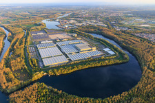 Aerial photograpy of Green Island in the Lingenfeld Altrhein with Mercedes-Benz Global Logistics Center and MOSOLF Logistics & Services GmbH in Germersheim in the state Rhineland-Palatinate, Germany