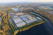 Oblique view of Green Island in the Lingenfeld Altrhein with Mercedes-Benz Global Logistics Center and MOSOLF Logistics & Services GmbH in Germersheim in the state Rhineland-Palatinate, Germany