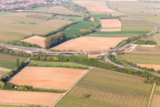 District Dammheim in Landau in der Pfalz in the state Rhineland-Palatinate, Germany from above