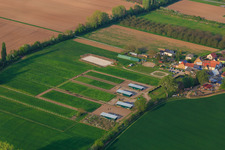 Horse paddocks at Modenbach in Großfischlingen in the state Rhineland-Palatinate, Germany