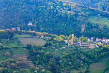 Wachtenburg (ruins of Wachenheim Castle) surrounded by rows of vines from the southwest in Wachenheim an der Weinstraße in the state Rhineland-Palatinate, Germany