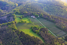 Odinstal winery in a clearing on the heights of the Palatinate Forest in Wachenheim an der Weinstraße in the state Rhineland-Palatinate, Germany