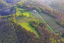 Aerial photograpy of Odinstal winery in a clearing on the heights of the Palatinate Forest in Wachenheim an der Weinstraße in the state Rhineland-Palatinate, Germany