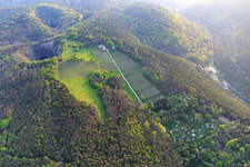 Oblique view of Odinstal winery in a clearing on the heights of the Palatinate Forest in Wachenheim an der Weinstraße in the state Rhineland-Palatinate, Germany