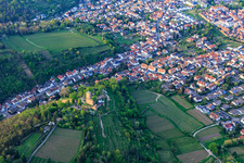 City view from the southeast with Wachtenburg (ruin of Wachenheim Castle) surrounded by rows of vines in Wachenheim an der Weinstraße in the state Rhineland-Palatinate, Germany