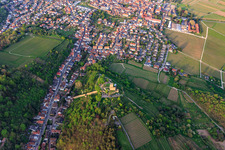 Oblique view of City view from the southeast with Wachtenburg (ruin of Wachenheim Castle) surrounded by rows of vines in Wachenheim an der Weinstraße in the state Rhineland-Palatinate, Germany